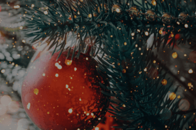 Как получить больше 1000 заявок на покупку елок премиум-класса всего за 3 недели