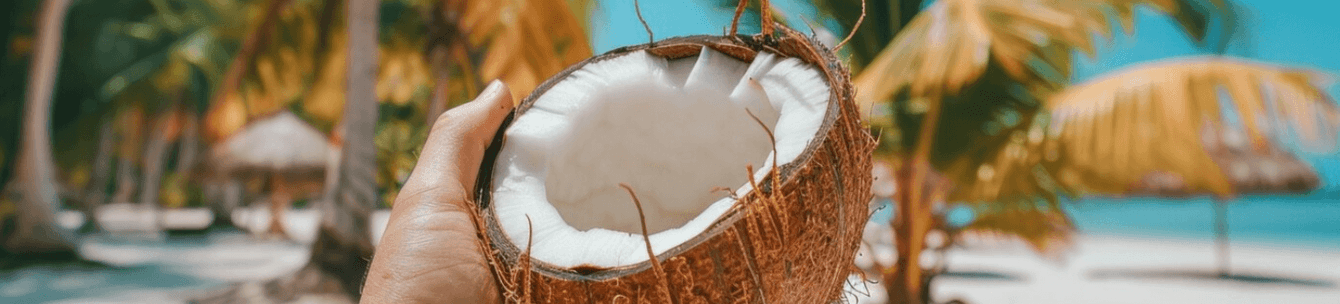 Kokoc.com. Благодаря контент-маркетингу вырастили конверсии в блог в 16,5 раз, а трафик в 241,2 раза