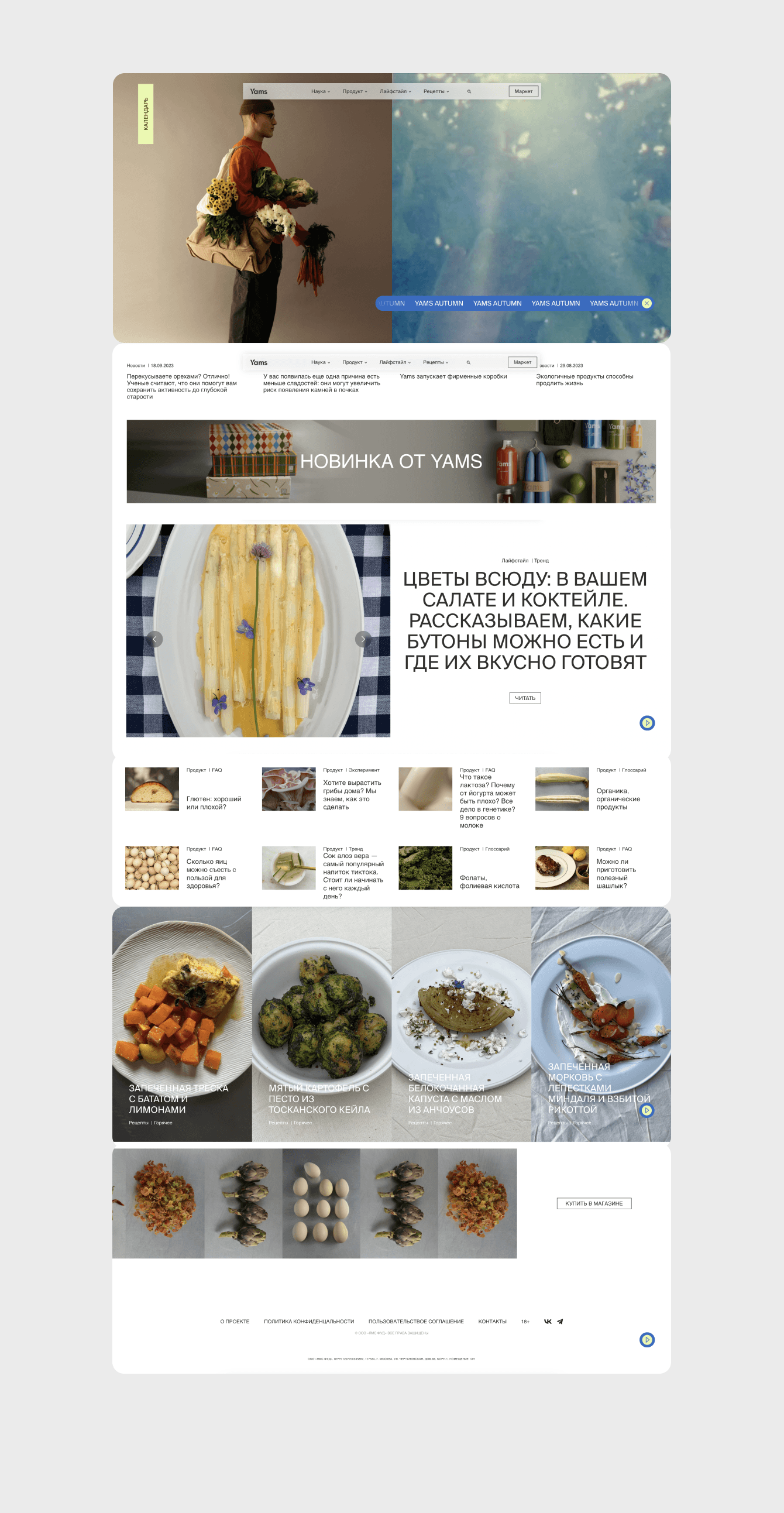 Применение продуктового подхода для интернет-магазина продуктов питания YAMS.