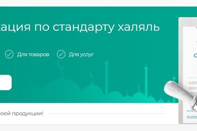 Рост трафика с 0 до 500 человек в месяц и как следствие SEO стало дополнительным источником заявок