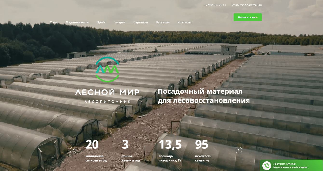 Продвижение сайта «Лесной мир»