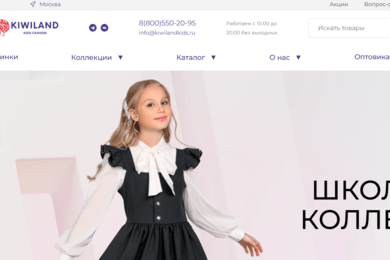 Разработка интернет-магазина производителя детской одежды.