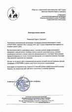 Корпоративный сайт для спортивного бренда СПОРТИНК: энергия и стиль в цифровом формате