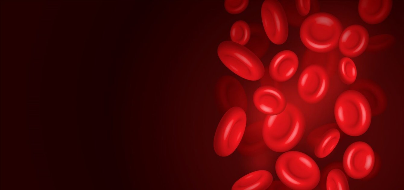 Продвижение сайта Клиники «Инномед»