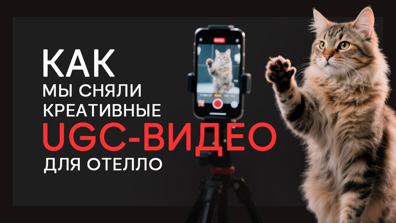 Какие креативы работают лучше: наш опыт продвижения Отелло с помощью UGC-видео