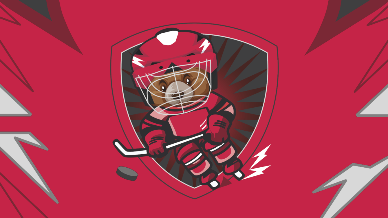 ​​«Маскот на вырост». Как мы помогли обрести детской хоккейной команде символ защиты.