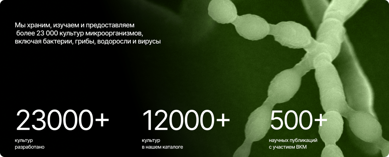 Всероссиийская коллекция микроорганизмов