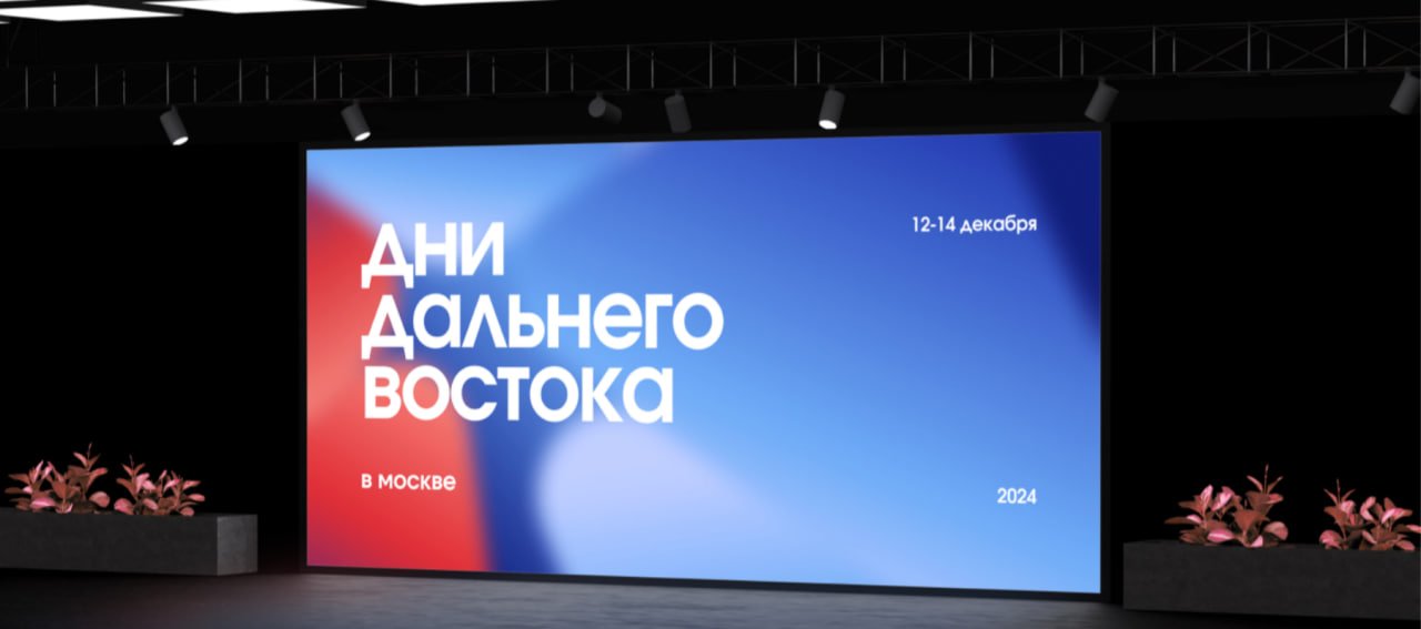 Айдентика для фестиваля «Дни регионов Дальнего Востока»