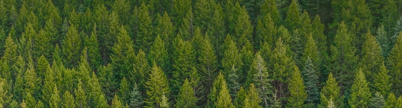 Поисковое продвижение интернет-магазина пиломатериалов