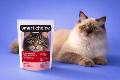 Комплексная разработка с нуля корма для домашних животных Smart Choice в среднем ценовом сегменте