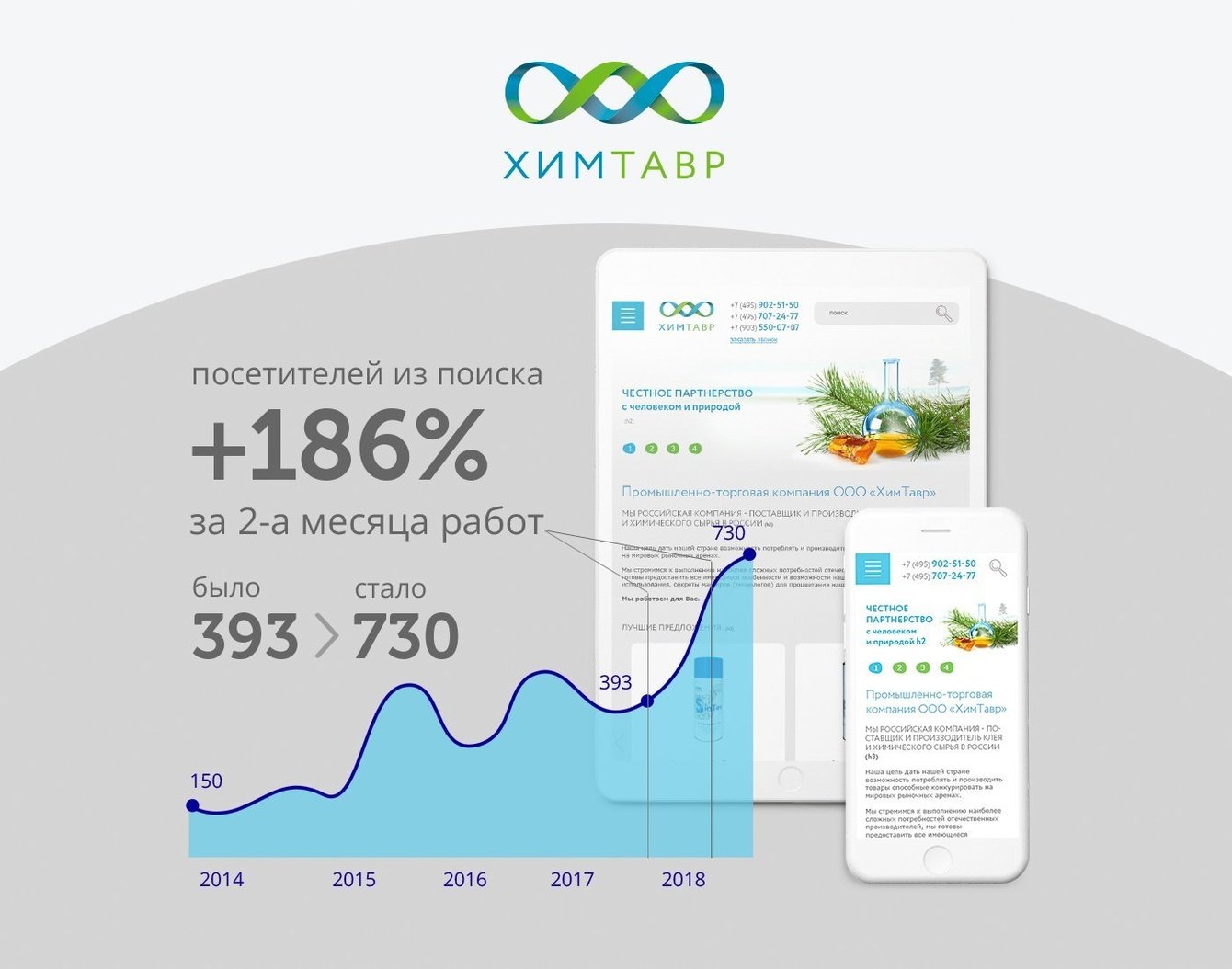 Поисковое продвижение сайта Химтавр