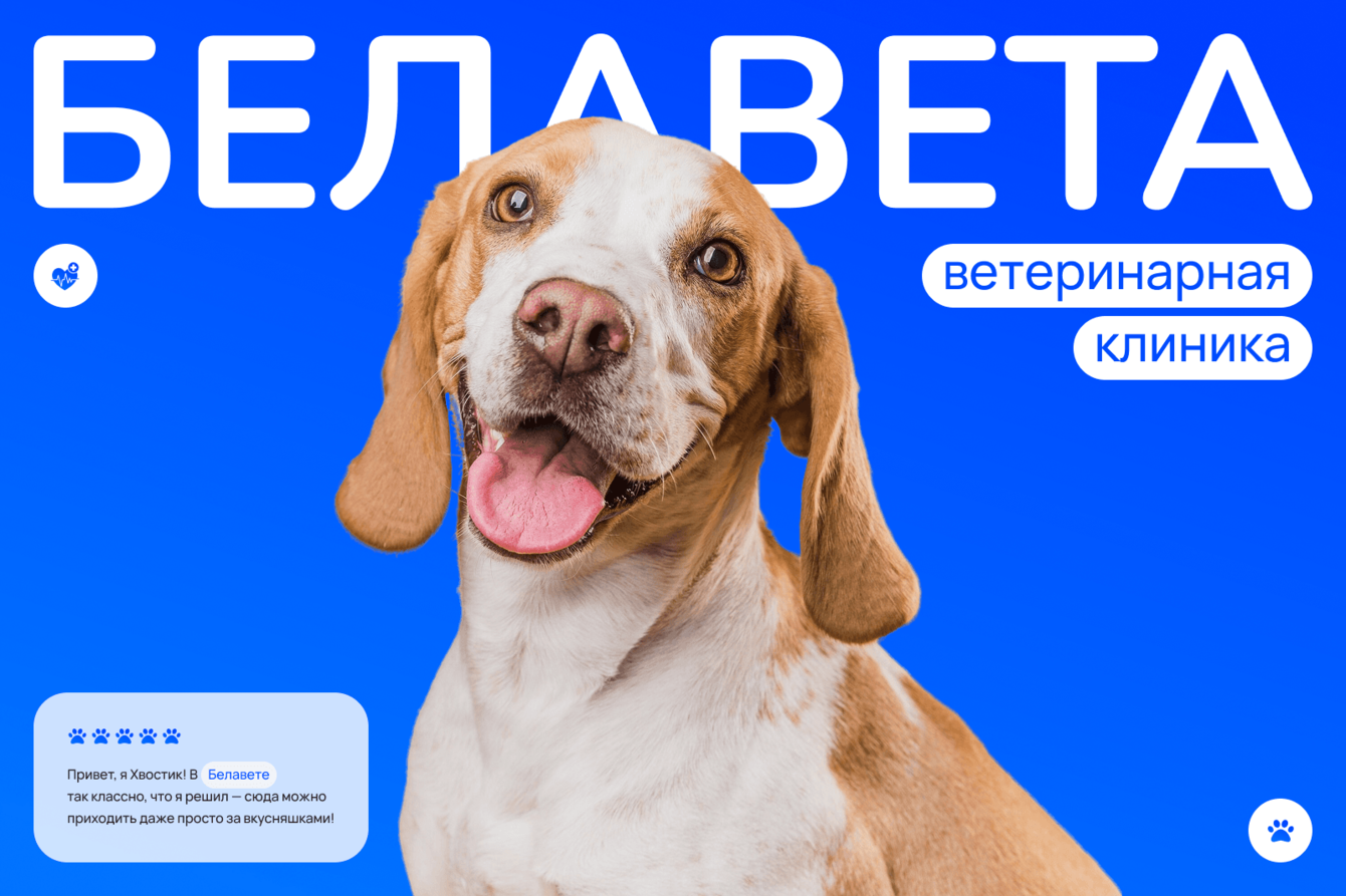 Разработка сайта-каталога для ветеринарной клиники «Белавета» с онлайн-записью и оплатой