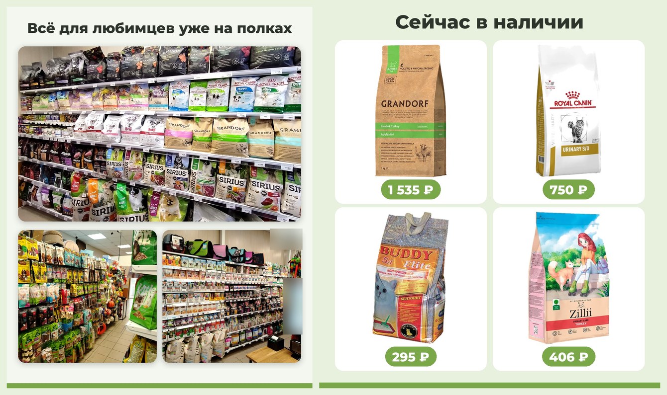 Рекламный пост ВК для нового зоомагазина за 20 минут: плакат, карусель из 3 слайдов и текст