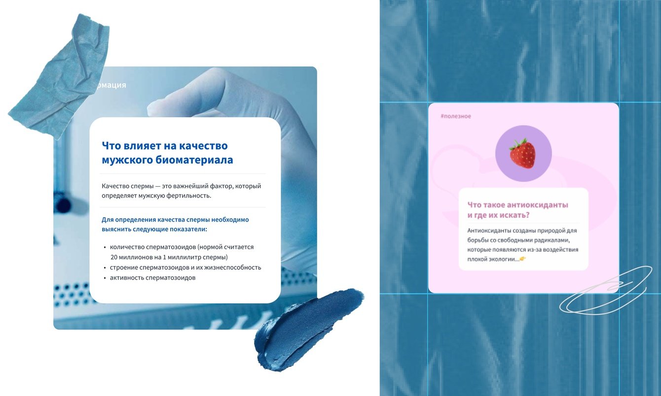 Комплексное продвижение социальных сетей Эмбрио