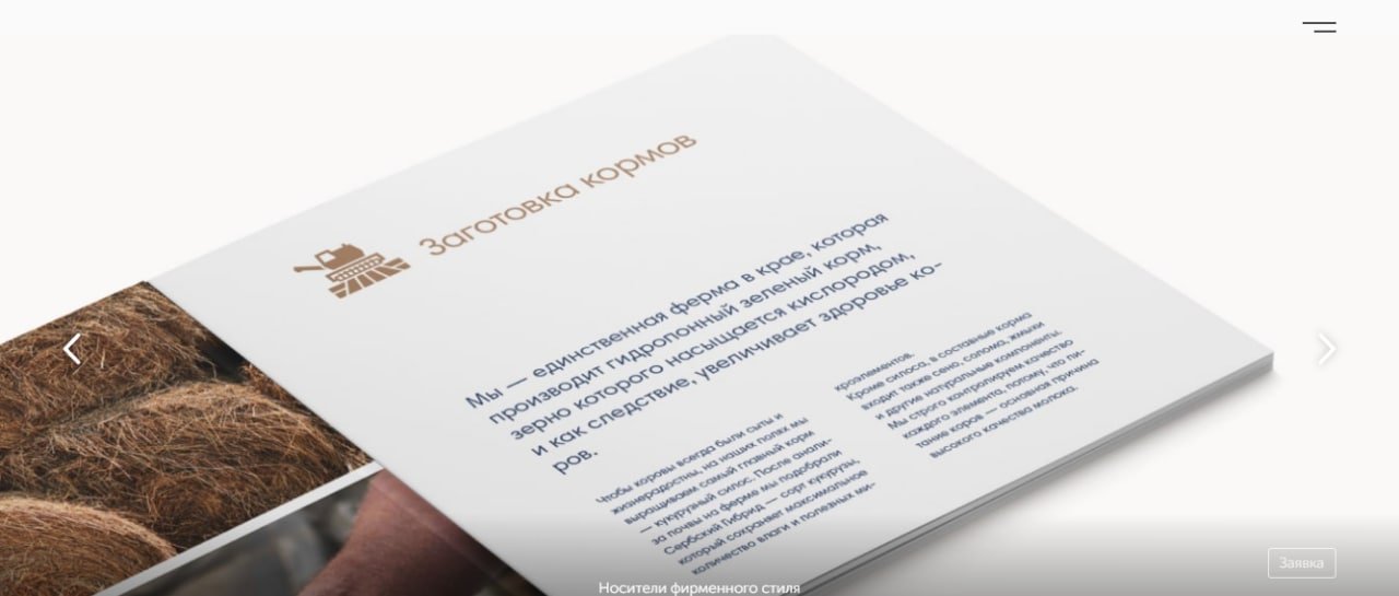 Маркетинговое исследование и фирменный стиль "Ключевское"