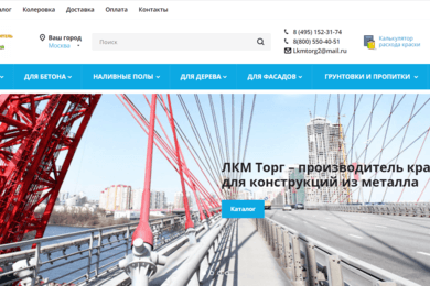 Разработка ИНТЕРНЕТ-МАГАЗИНА для производителя. Сегмент B2B и B2C