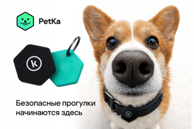 PetKa. Приложение и метка, которые помогают вернуть питомца домой