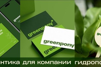 Пошаговая разработка айдентики — кейс для компании гидропоники