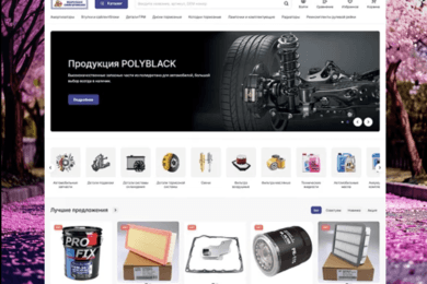 Как мы помогли увеличить заказы в 2 раза интернет-магазину автозапчастей