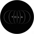 IT Company TOLA