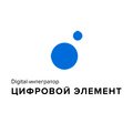 Цифровой Элемент