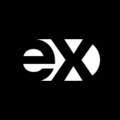 Exine