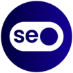 Seo Performance