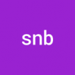 SNB.STUDIO - Digital агентство