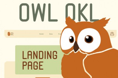 Магазин  OWL OKL | Landing Page