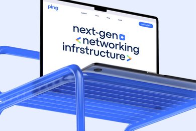 Айдентика ping