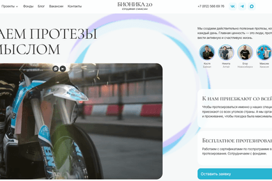 Разработка REST API для Бионики