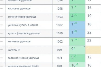 rybolovnyi.ru - увеличение трафика из поисковых систем, продвижение по коммерческим запросам