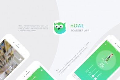 Дизайн мобильного приложения HOWL