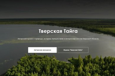 Авторский проект 