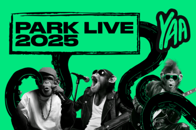 Продвижение фестиваля Park Live 2025 в Алматы