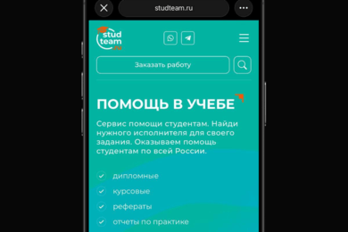 Помощь студентам с учебными работами