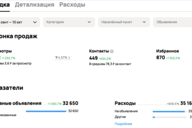 Продвижение компании по продаже ворот и металлических дверей на Авито