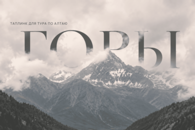 TAPLINK для тура по Алтаю