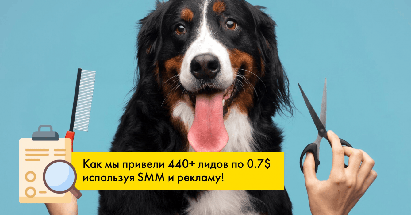 Успешный старт в инстаграм для груминга, которому позавидуют конкуренты