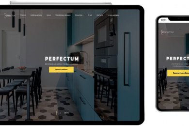 Разработка корпоративного веб-сайта – Perfectum.su