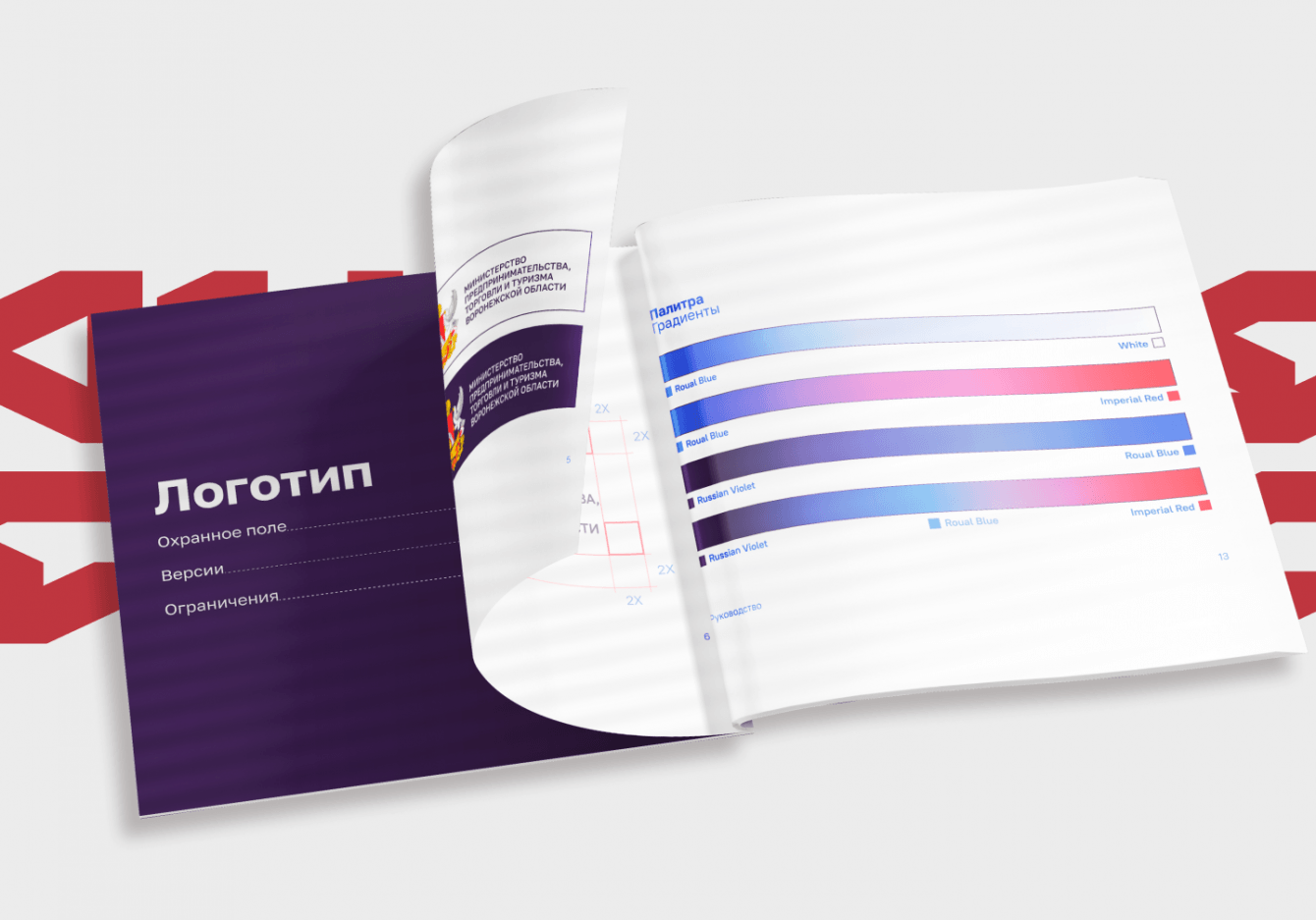 Гайдлайн для Министерства Предпринимательства, Торговли и Туризма Воронежской области