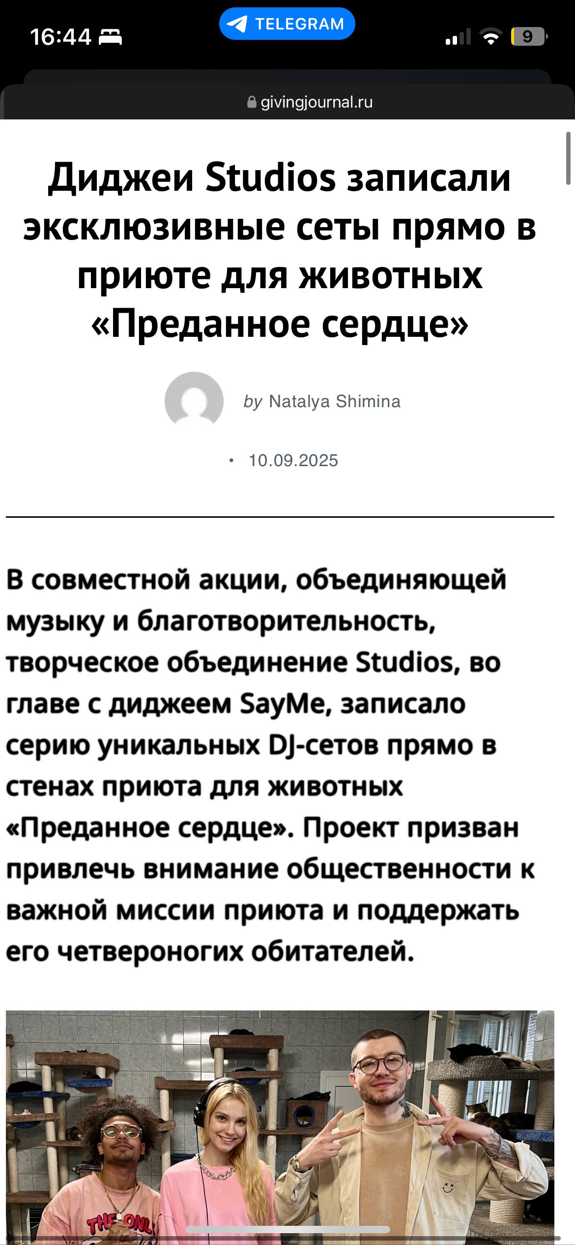 Тусуемся с кисками