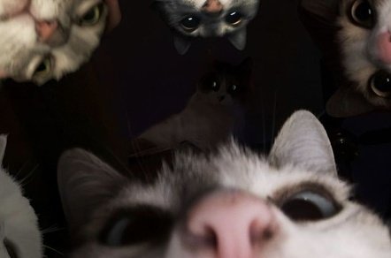 Как распознать ЦА: ключевые признаки аудитории бренда