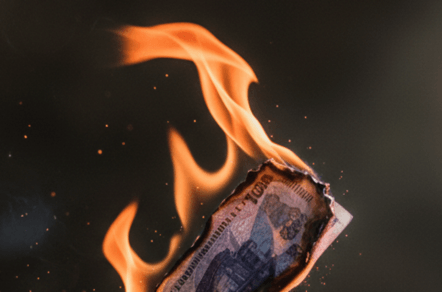 как один енот сжёг рекламный бюджет и репутацию бизнеса