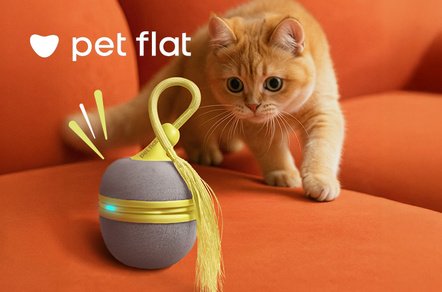 Как создать сильный бренд в низкомаржинальной категории