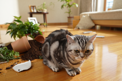 Главные ошибки в текстах на сайтах в 2025: итоги года от команды 1PS.RU