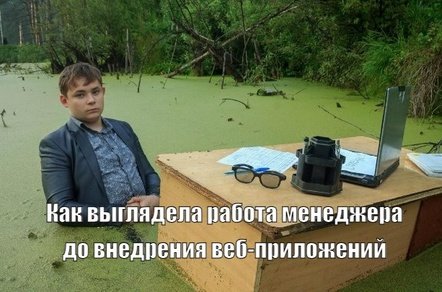Как выбрать веб-приложение: от личного кабинета до автоматизации