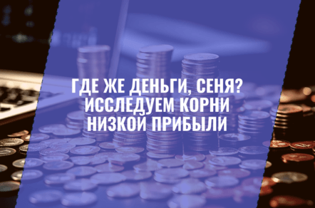 Где же деньги, Сеня? Исследуем корни низкой прибыли