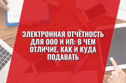 Электронная отчётность для ООО и ИП: в чем отличие, как и куда подавать