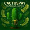 CactusPay Платёжная система